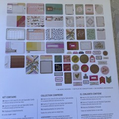 BN Project life Notes and things edition 130 pces journaling cards Item #380373
