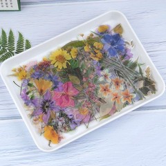 160pcs Floral Plant Stickers for Scrapbooks, DIY Crafts, Planners, Journals