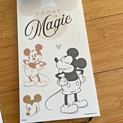 The Happy Planner – Disney – Mickey and Minnie Mouse Calendar Stickers