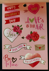 RECOLLECTIONS VALENTINE’S DAY STICKER BOOK 204 PC STICKERS 12 SHEETS ROMANCE