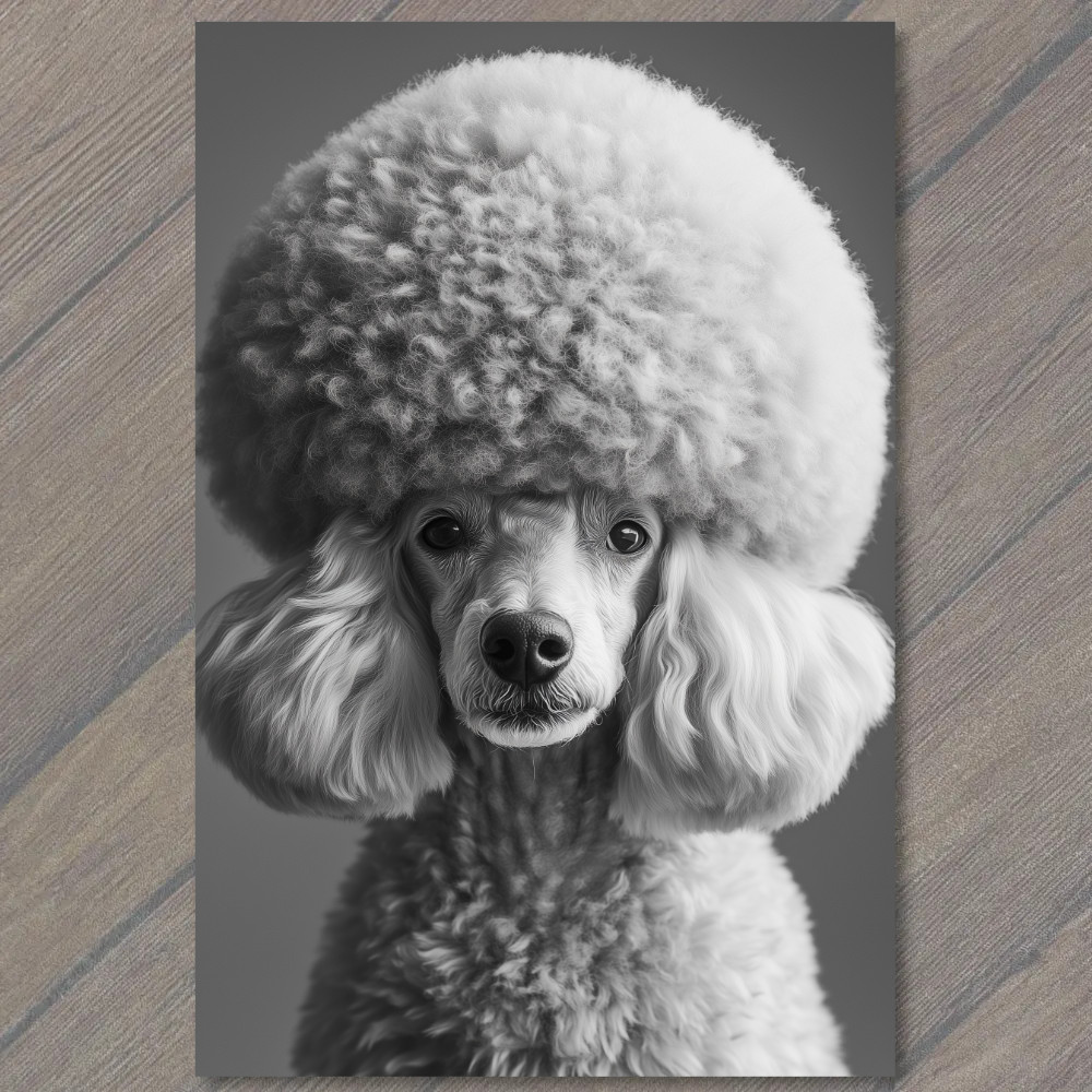 STICKER Poodle White Gray Round Fluffy Fur Detailed Portrait Cute Fun