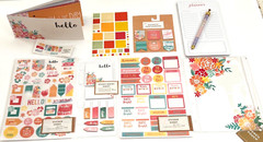 PLANNER KIT LOT Happy Summer Brights STICKERS PEN POUCH DIVIDERS STICKy NOTES
