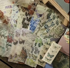 15pcs Botanical Butterfly Opaque Washi Stickers- Scrapbook, Journal, DIY Crafts