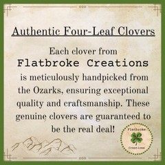 🍀Real Dried & Pressed Four Leaf Clovers🍀
