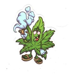 Stickers for Water Bottles, 420 Stickers for Teens Adults, Vinyl Waterproof
