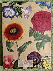 Anna Griffin More Flower Pot Decoupage 500 Die Cuts,