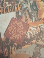 30 Pgs Of Washi Stickers & 20 Sheets Of Ephemera Papers New Style Wild Wild West