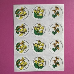 CTP Flower Scratch & Sniff Floral Full Sheet Sniffy Set Rose Lilac Carnation Lot