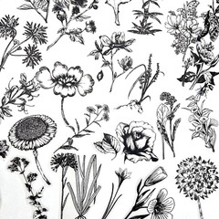 Botanical Flower Vellum Stickers 60 pcs Black White Junk Journaling Collage