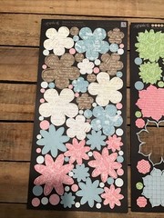 Graphic 45 Botanical Tea Cardstock Flowers Floral Birds 2 Missing