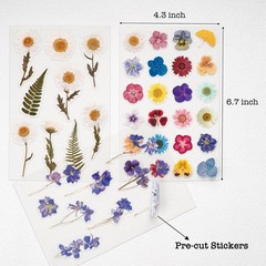 36 Sheets Botanical Stickers, Pressed Flower Decals for Journals, Multicolor