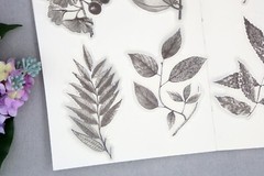 flower sketch vellum sticker | calla lily flower Silver foil black white