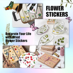 Flower Stickers for Scrapbooking(590 Pieces, 48 Sheets),Decorative Floral Sticke