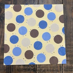 Close To My Heart ASPEN Scrapbooking Paper And Stickers CTMH