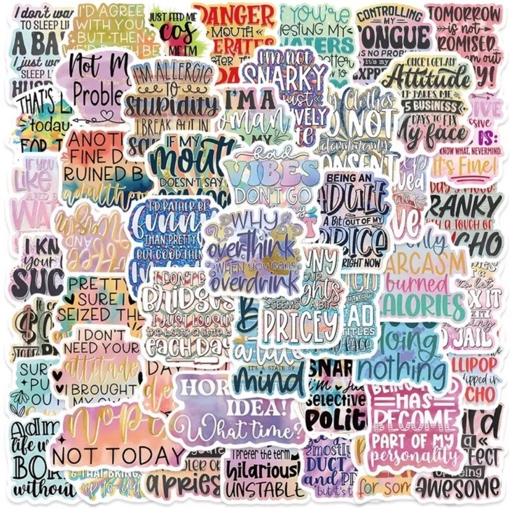 10pcs Sarcastic Quote Stickers- Scrapbook, Journal, DIY Crafts & Card
