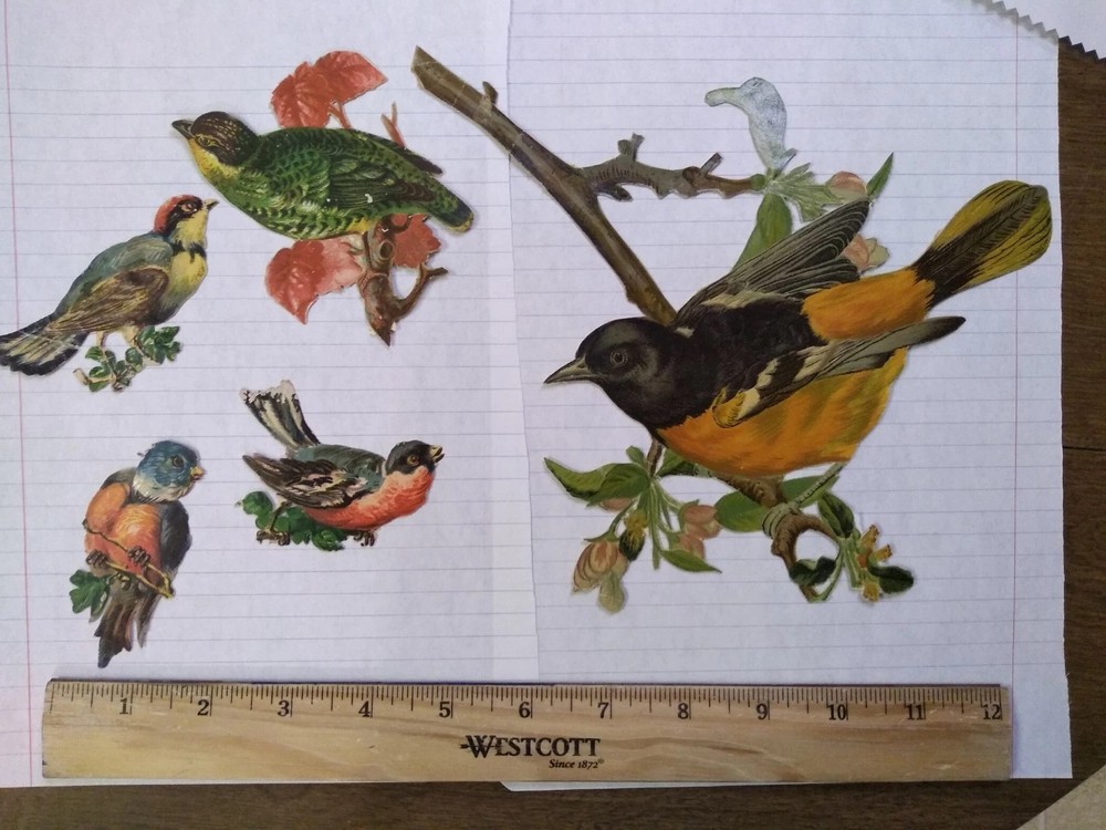 beautiful bird lot birds diecuts die cuts old vintage or antique scrapbooking