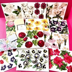 Anna Griffin Flower Pot Decoupage Diecuts 70+ PCS + Floral Recollection Layers