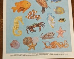 Vintage Current Catalog Land & Sea sticker sheet, fish and shells stickers