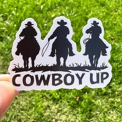 Cute COWBOY stickers, ranch, horse, hat, 50pcs, Decal, cowboys, western