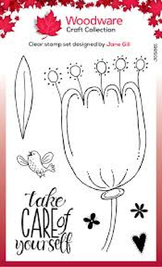 Woodware Craft Clear Stamp – PETAL DOODLES TAKE CARE