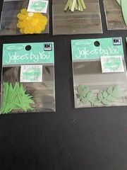 NEW Lot Of 14~JOLEES BY YOU Dimensional Stickers- Flowers & Leaves & Botanicals