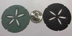 LG. SAND DOLLAR Die-Cuts(6pc)Beach •Shells•Ocean•Star•Sea•Shore•Sand Creatures