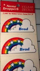 Vintage Stickers Name Droppers Rainbow Clear Decals BRAD 4 Stickers