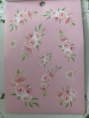 RECOLLECTIONS VALENTINE’S DAY STICKER BOOK 268 PC STICKERS 12 SHEETS ROMANCE