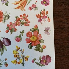 Vintage AGC Inc. – Wild Flowers Sticker Sheet