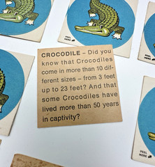 Vintage Animal Stickers African Safari Lion Monkey Crocodile