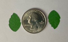 GREEN BRIGHT ROSE LEAF Die-cut Embellishment(20pc)Jolees•Flower•Garden•Long Stem