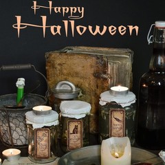 80 Pcs Creepy Apothecary Bottle Labels Animal Medicine Bottle Stickers Potions L