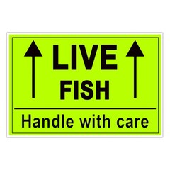 Remarkable Live Fish Stickers Shipping Labels, 2 X 3 Inch Fluorescent Green Plea