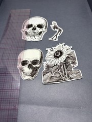 4 Sticker Set Black and White Line Art Skulls Flowers By Julie de Graag Skeleton