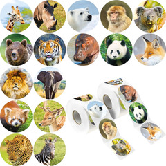 600PCS Realistic Animal Stickers, 16 Designs Jungle Animal Sticker for Kids Safa