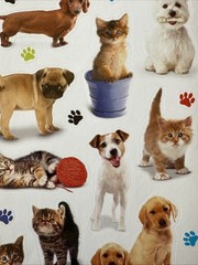 PUPPY & KITTY Kid Squad Stickers(18pc)AGC…Pet…Paw print…Companion…Card Making…