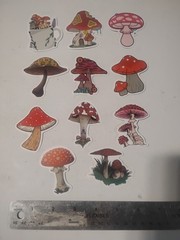 Mushrooms Theme Stickers for Scrapbooking, Multicolor Decorative Sticker Set