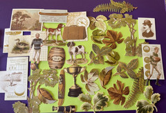 Anna Griffin Jack Die Cuts 30 Pieces New 2026