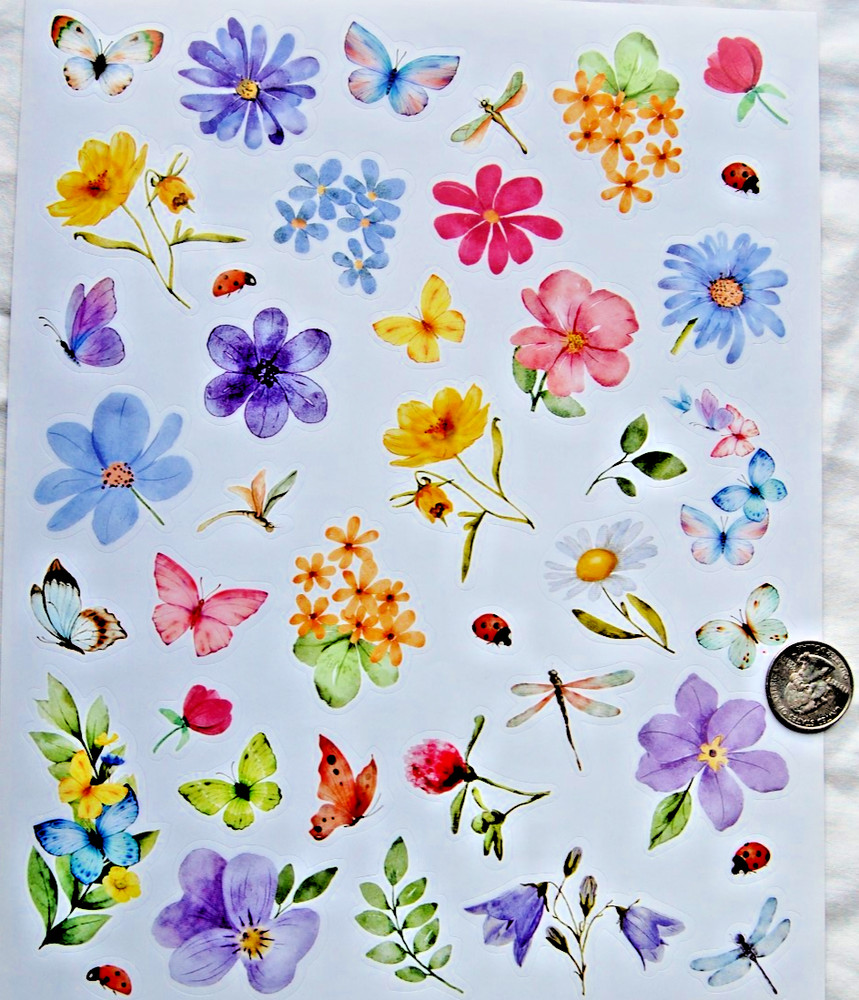 Current stickers watercolor FLOWERS flower butterfly dragonfly beautiful spring