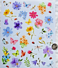 Current stickers watercolor FLOWERS flower butterfly dragonfly beautiful spring