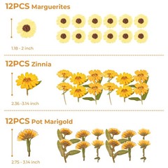 36 Pcs Yellow Dried Pressed Flowers for Resin Crafts – Zinnia, Calendula, Mar…