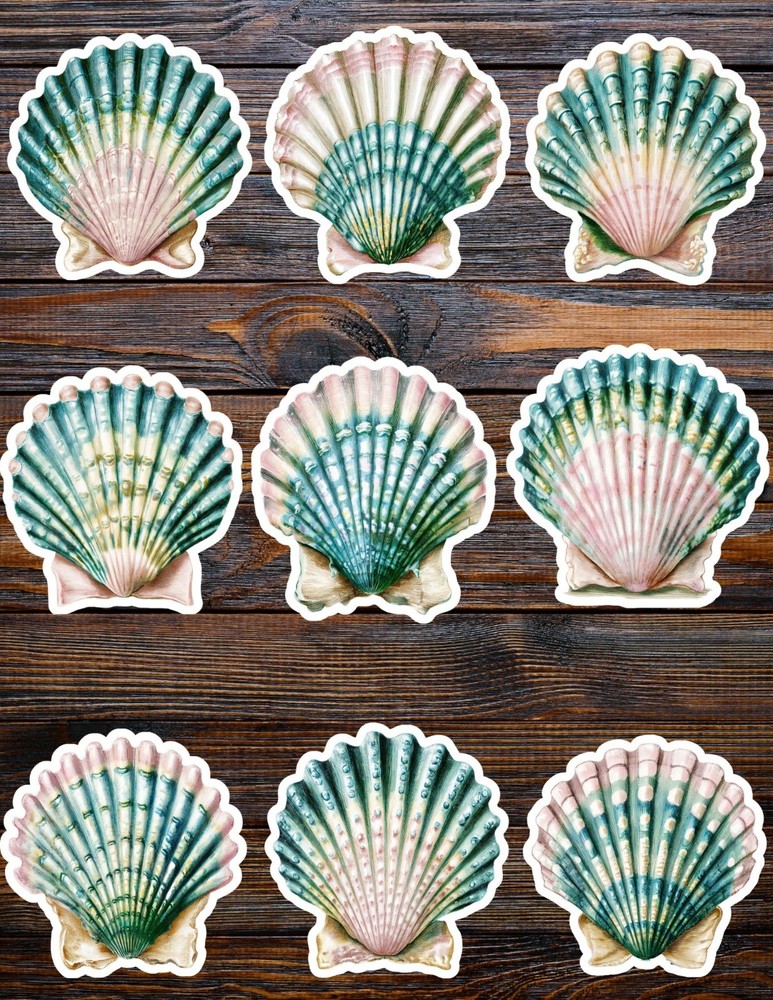 Teal and Prink Seashell Die Cut Vinyl Stickers Scrapbooking Laptop Waterbottle