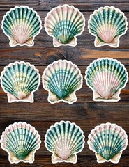 Teal and Prink Seashell Die Cut Vinyl Stickers Scrapbooking Laptop Waterbottle