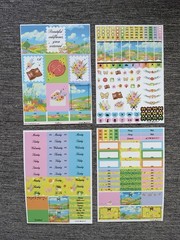 simply gilded Wildflower deluxe sticker kit Planner Sticker & Deco Sheet Set