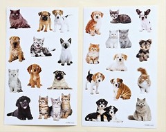 Cats & Dogs / Sticker sheets. Lot Of 2.