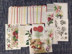Anna Griffin Pocket Embellishment Cardstock Diecuts set of 73 NEW