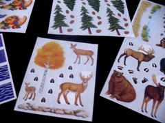 Creative Memories Forest Wildlife & 3 block& Studio Partial Snap Pack + 4 Autumn