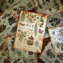 Plant Themed Washi Stickers for Journaling Scrapbooking Planner Sticker Ephemera