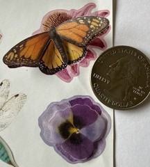 FLOWER Dimensional Stickers (13pc)Hallmark•Vellum•Pop-Ups Butterfly•Card Making•