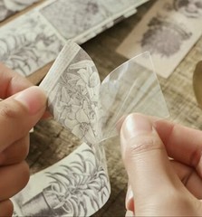 15pcs Botanical Butterfly Opaque Washi Stickers- Scrapbook, Journal, DIY Crafts
